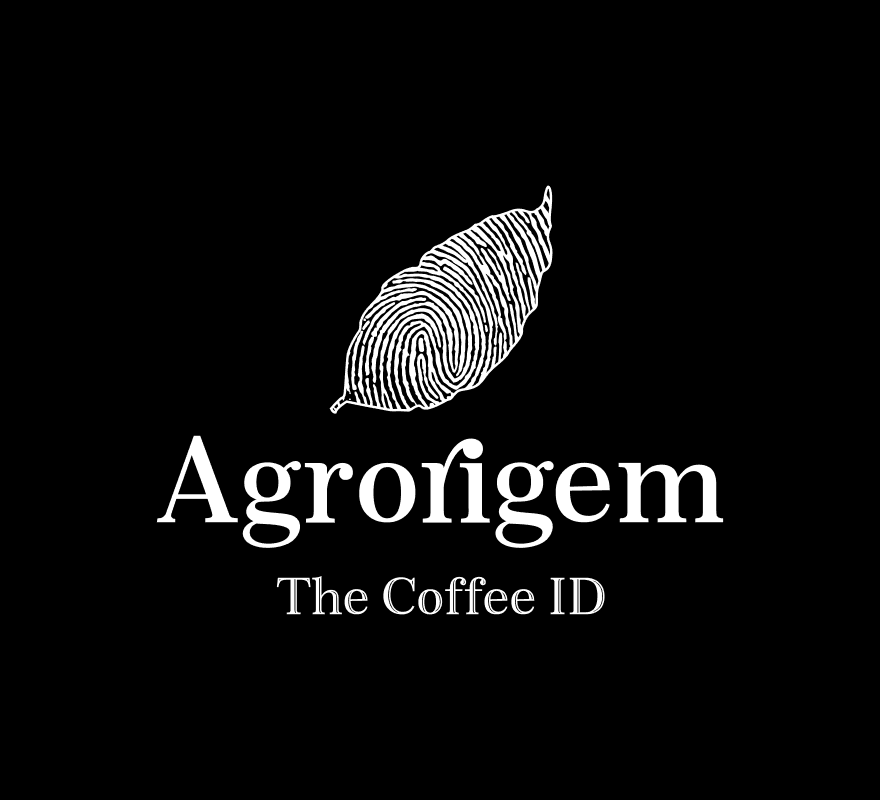 Agrorigem